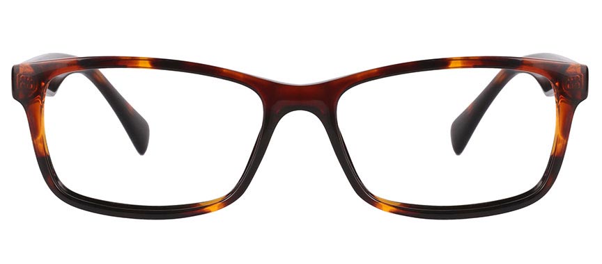 tortoiseshell acetate frame